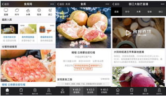 杭州四喜托管可信嗎？事實(shí)說話 食庫網(wǎng)農(nóng)產(chǎn)品基地加工與品牌營銷的領(lǐng)航者
