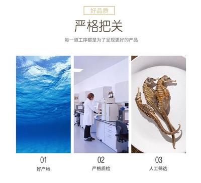 傳統滋補與現代工藝的融合 干無增重海馬湯料與古方泡酒的養生之道